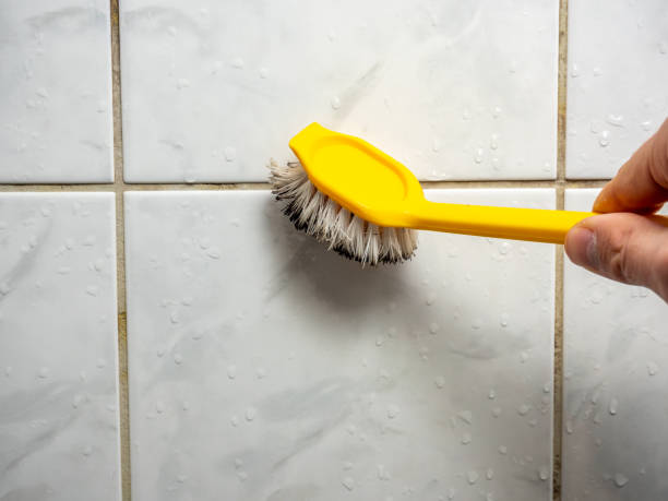 Best Local Mold Removal Service  in Williston Highlands, FL