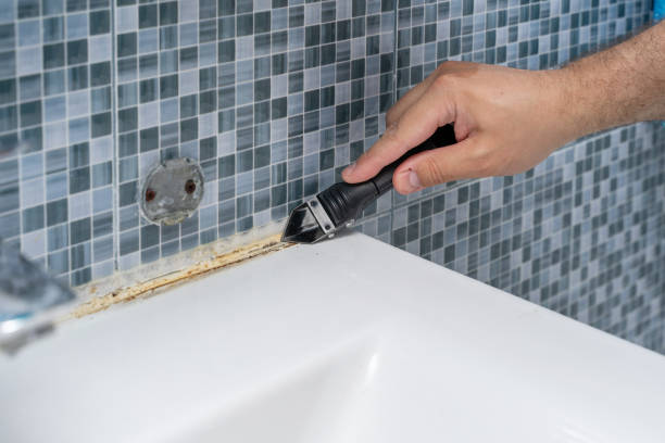 Best Certified Mold Removal  in Williston Highlands, FL