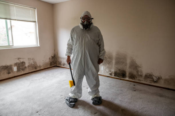 Best Residential Mold Removal  in Williston Highlands, FL